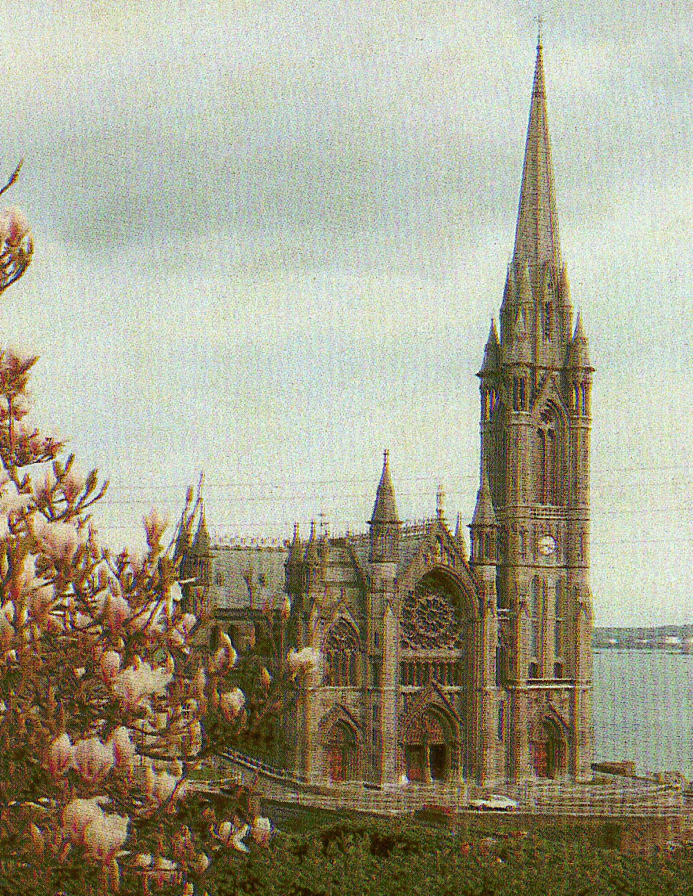 St Colmans Cathedral